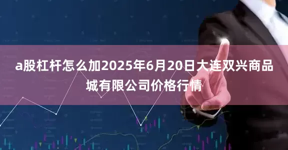 a股杠杆怎么加2025年6月20日大连双兴商品城有限公司价格行情